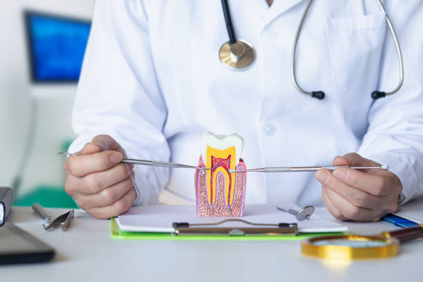 Best Emergency Denture Repair in Oakley, KS